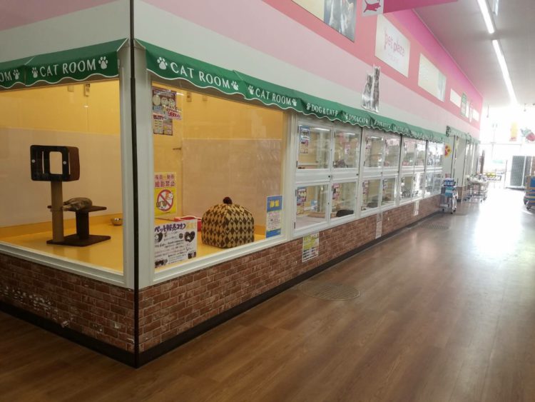 羽曳野西浦店 ペットショップ ケン ワン