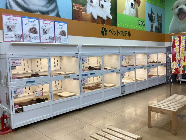 ケンアンドワン DCM稲田店